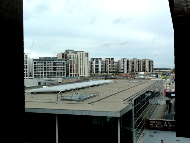 20111009-224728.jpg